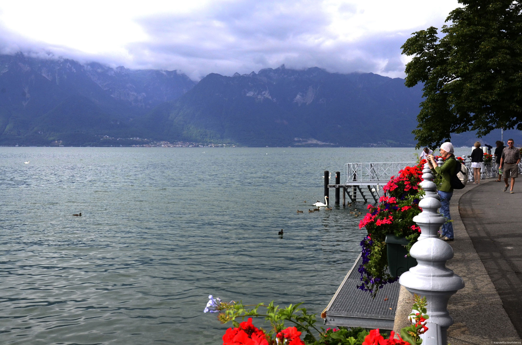 Vevey